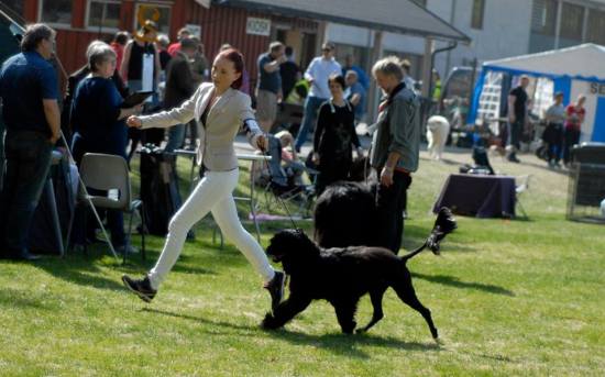 10150804_10152345726396357_1430729193779410936_n