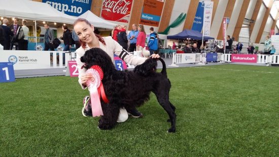 10154499_10152400984665309_5320417338081191429_n