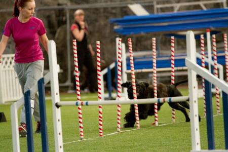 11245399_10205851746949971_1557657832_n