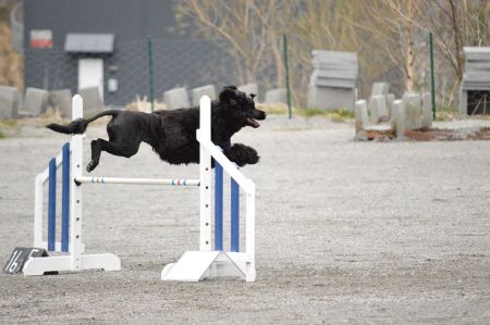 16204_10153224044110309_2038128119639855048_n