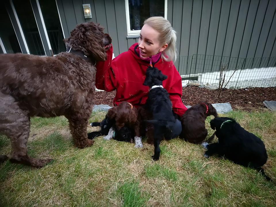 32222244_10212955963711218_6285594469152587776_n