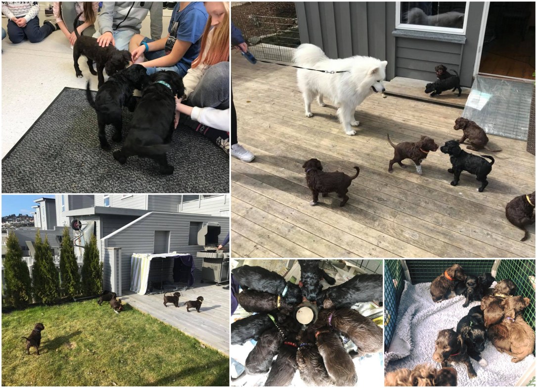 6 uker og 6 dager.jpg