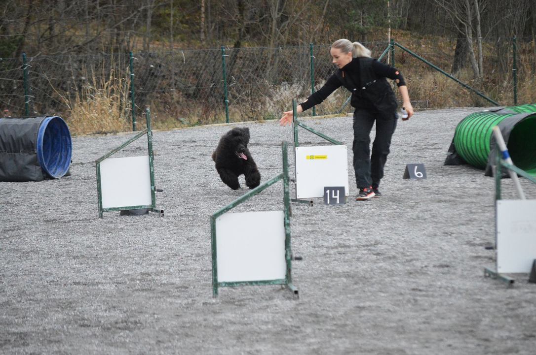 45957010_10156613716750309_2999197760403537920_o