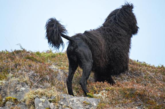 53781524_10156874145965309_4473211836103131136_o