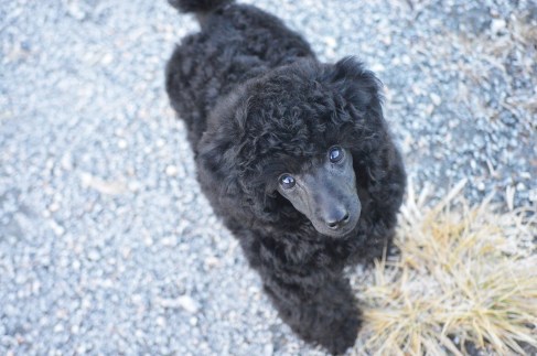 76693240_10157526929495309_655852810453123072_o