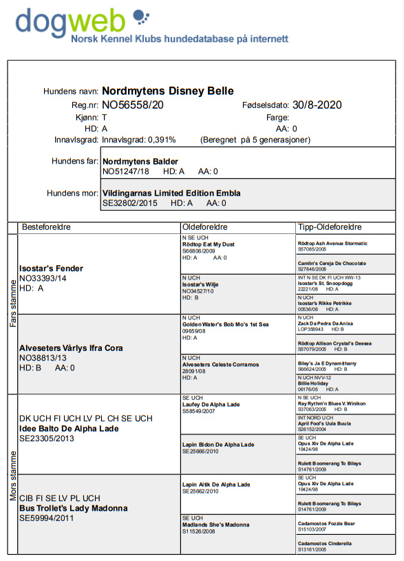 Ta inn hele skjermen 02.07.2022 181954.bmp