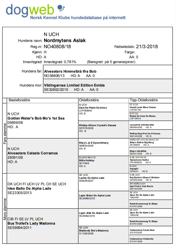 Ta inn hele skjermen 02.07.2022 183049.bmp