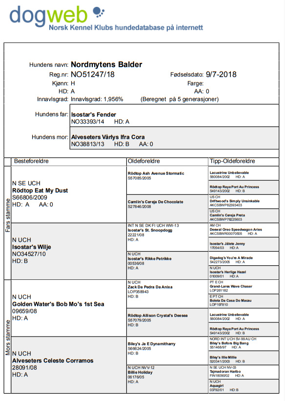 Ta inn hele skjermen 02.07.2022 183309.bmp