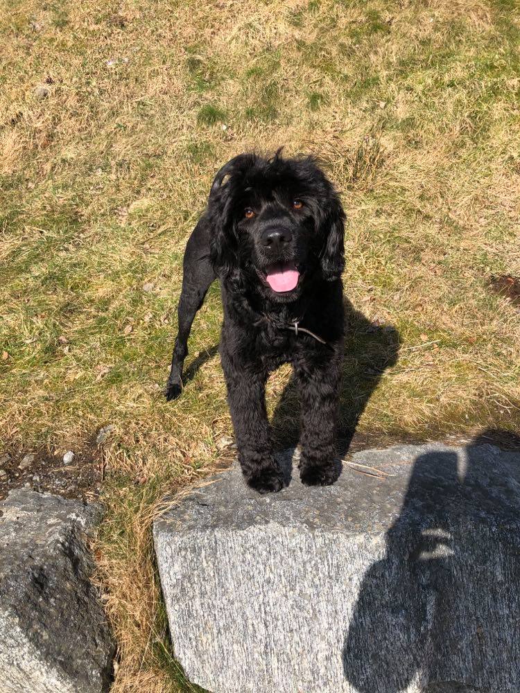 165365589_132684988792857_6398108238593233392_n