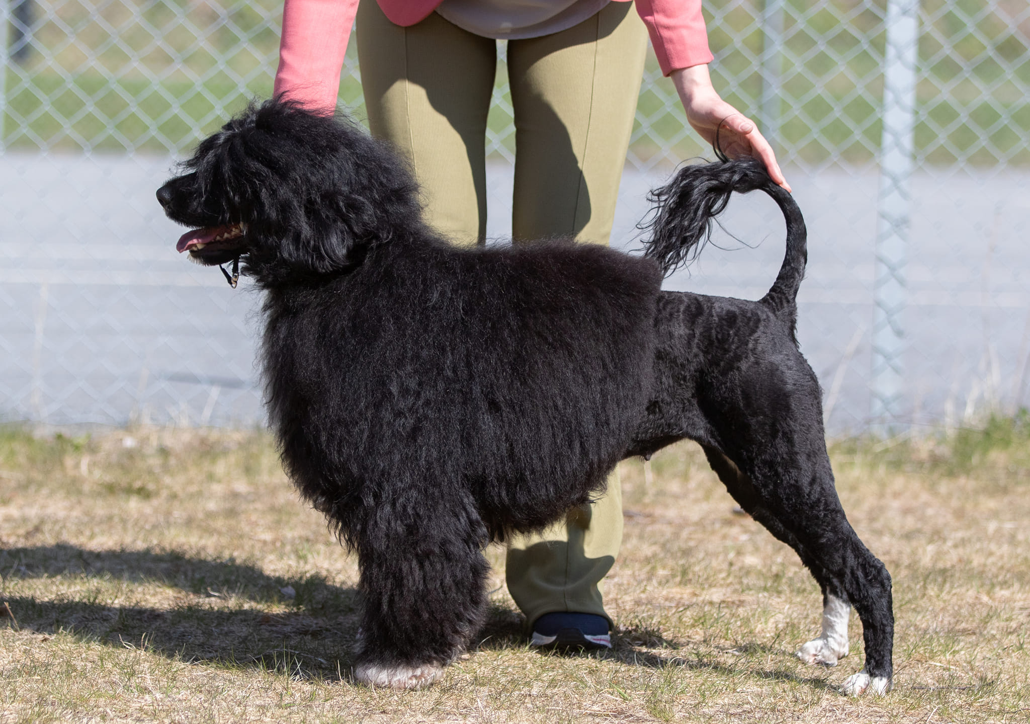 345312323_5928238083891925_683882933188346479_n